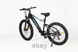 Brand New Electric Bicycle Bike Ebike Fat Tyre MTB 350W Motor Fast Speed Cheap