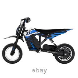 Electric Motorcycle RCB R9X 300W Motor 36V/4AH E Dirt Bike Best Gift for Kids
