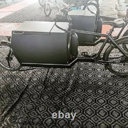 Electric cargo bike 2 wheel high torque motor 2 boxes for kids & food delivery