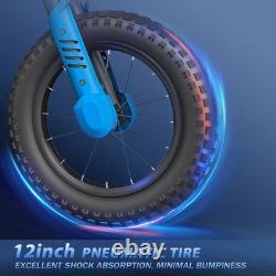 KIDDOWE D1 Electric Kid Motorcycle 300W Kid E-motorcycle E-bike 36V 4Ah UK Blue