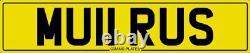 Muir Number Plate Surname Mu11 Rus Car Registration For Muirs With Fees Paid Us