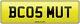 Mutt Mutley Doggies K9 Dogs Number Plate Bc05 Mut Registration Smut Smutt Mute
