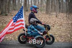 2014-2019 Honda Motorcycle Grom Gus Utilitaire Sidecar