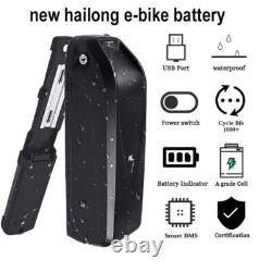 Batterie de vélo électrique Hailong Li-ion 48V 20Ah pour moteur 0-1500W