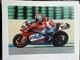 Impression D'art De Moto Championnat Du Monde Superbike Cent Pour Cent. Neil Hodgson SignÉe