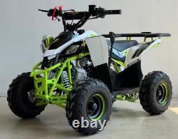 Quad ATV 125cc Tout Terrain 4 Temps Essence X Beast Motorsport Vert 70KM/H