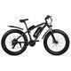 Vélo Électrique 26 E-mountain Bike 1000w 48v Shimano E-bike Fat Tyre Snowbike